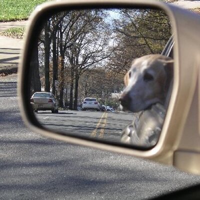 Profile Picture of Susanne Robicsek (@Robicsek) on Twitter