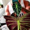 Profile Picture of Danny Denton (@@dannydenton2) on Tiktok