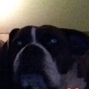 Profile Picture of Katelyn Gibson (@katelyngibson7469) on Youtube
