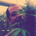 Profile Picture of Daniel Vin?cius Silva Veras (@damalanas) on Flickr