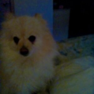 Profile Picture of Mary Tibado (@mary_mt43) on Twitter