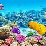 Profile Picture of srinivasreddymereddy (@mereddysrinivasreddy) on Instagram