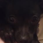 Profile Picture of Query LaFataLeszczynski (@query.lafataleszczynski) on Facebook