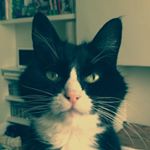 Profile Picture of Bryan McComb (@wireman) on Instagram
