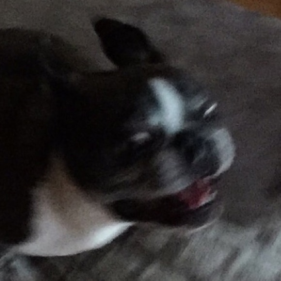 Profile Picture of Jake Dziedzic (@jake_dziedzic) on Poshmark