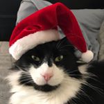 Profile Picture of Mister Micki Jackson (@mistermicki) on Instagram