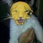 Profile Picture of Danrabbit420 (@danrabbit420) on Instagram