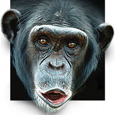 Mike Rijneveld - Twitter Profile Picture of Mike Rijneveld (@m1999ike) on Twitter