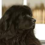 Profile Picture of Roberta Bracamonte (@roberta.bracamonte.90) on Facebook