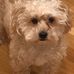 Profile Picture of Donna Fecht (@donna.fecht.1) on Facebook