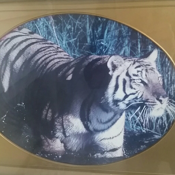 Profile Picture of Marilyn Pinnick (@suepinn) on Poshmark