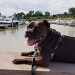 Mark Goossen - Instagram Profile Picture of Mark Goossen (@mwgoossen) on Instagram