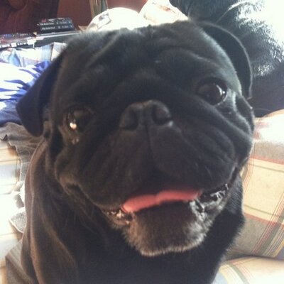 Profile Picture of Lisa Huffine-Santana (@@GUARDTHEQUEENS) on Twitter