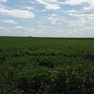 Adrián Mazzoni - Twitter Profile Picture of Adrián Mazzoni (@mazzadrian) on Twitter