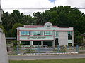 Profile Photo of Corella, Boholon Wikipedia