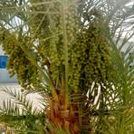 Profile Picture of Mahmudul Khan (@Mahmudul-Khan) on Facebook