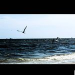 Profile Picture of Casey Thornton (@photography_3160) on Instagram