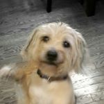 Chad Mike - Instagram Profile Picture of Chad Mike (@chadmikeridgeway) on Instagram