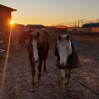 Profile Picture of Michael Büttner (Seth oder Nefarian Maldoran) (@michael.buttner.927) on Facebook