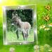 Profile Picture of Anne Pietrowski (@anne.pietrowski) on Facebook