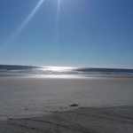 Profile Picture of bradley wille (@bradleyw1895) on Instagram