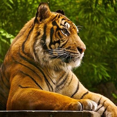 Profile Picture of Gary Crouch (@raving_nut_job) on Twitter