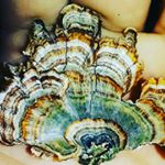Profile Picture of john ramey (@johnramey534) on Instagram