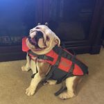 Profile Picture of Lissa Peter (@lisa_pettere) on Instagram