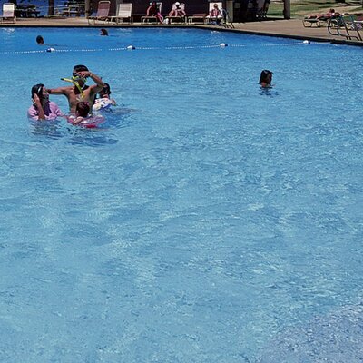 Profile Picture of Mike Jamison (@JamisonPools) on Twitter