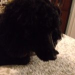 Dawn Sonntag - Instagram Profile Picture of Dawn Sonntag (@sunnytramp) on Instagram