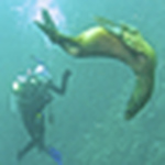 Marsha Wulff - Flickr Profile Picture of Marsha Wulff (@marsha wulff) on Flickr