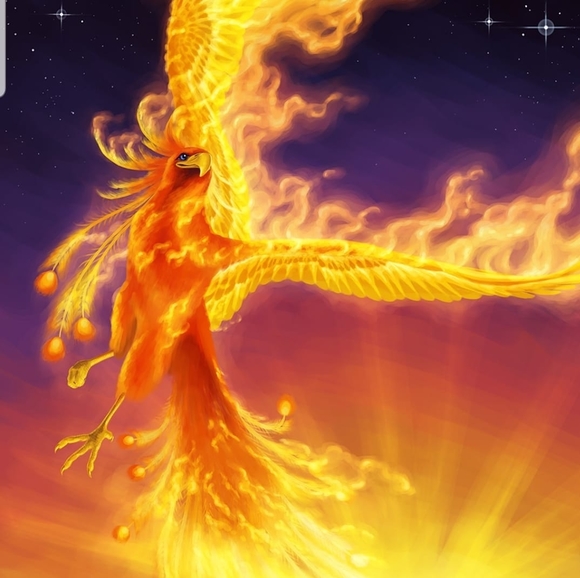 Profile Picture of April Thesing-krumvieda (@krumvie) on Poshmark