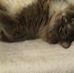 Profile Picture of Kitty Magee (@kitty.magee.7927) on Facebook