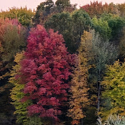 Profile Picture of Christopher Olson (@ChristopherOlson-k8p) on Youtube