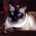 Profile Picture of Carol Schroeder (@carol.schroeder.35) on Instagram