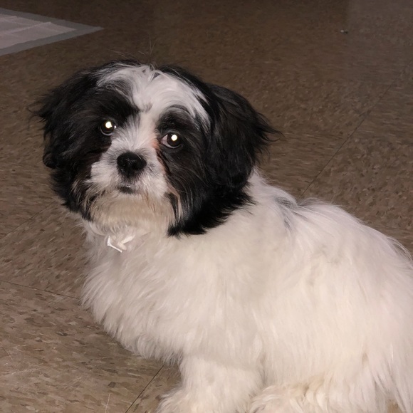 Profile Picture of Jeff Baez (@jeffb05) on Poshmark