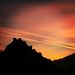 Profile Picture of Stephanie Roduit (@stephbrocc) on Pinterest
