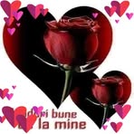 Profile Picture of Cristina Holban (@Cristina-Holban) on Facebook