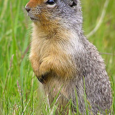 Profile Picture of Danielle Border (@DanLovesFarrah) on Twitter