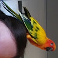 Profile Picture of Lisa Scank De Alejo (@lisa-scank-de-alejo-1) on Quora