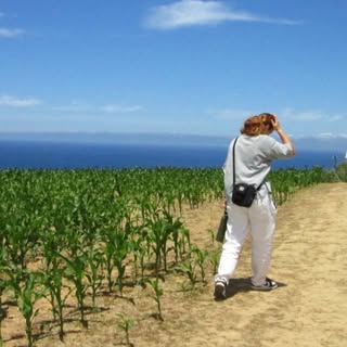 Profile Picture of lorenacuevas (@lorenacuevas) on Instagram