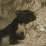 Profile Picture of Cooper (@cooperstanford488) on Instagram