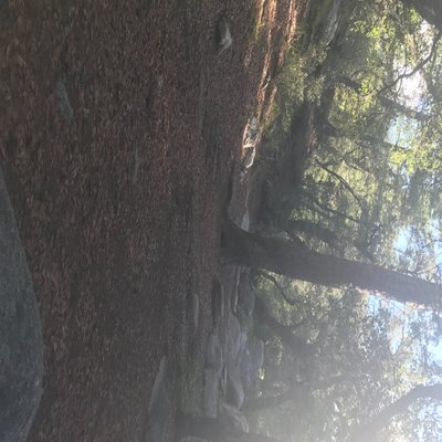 Profile Picture of Q Gregor (@hence_jacob) on Twitter