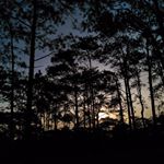 Profile Picture of Paul Ouk (@paulouk) on Instagram