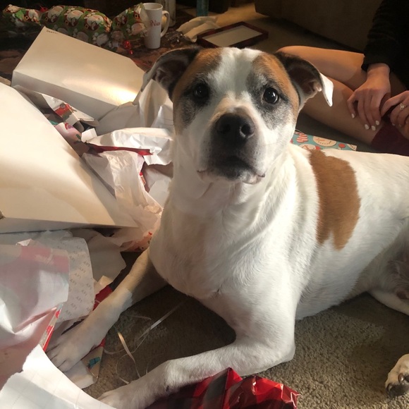 Profile Picture of Lisa Witkus (@dnlwitkus5150) on Poshmark