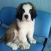 Profile Picture of Jorge Blas (@jorge.blas.92) on Facebook