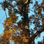 Profile Picture of Michael Wysong (@wysong1411) on Instagram