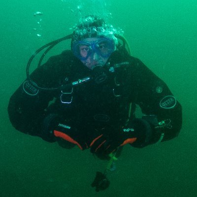 Profile Picture of Nicholas Levy (@nicholasalevy) on Twitter