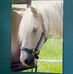 Profile Picture of Jo Roush (@jo.roush.5) on Facebook