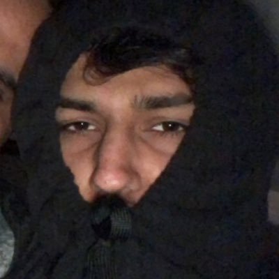 Profile Picture of David Berkowitz (@osamabinballin9) on Twitter